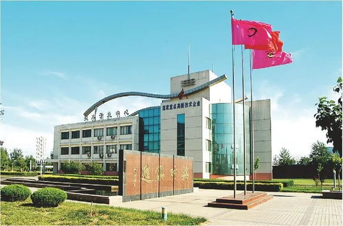 技術賦能，破局前行 山東糧食產業破解同質化困局的轉型實踐