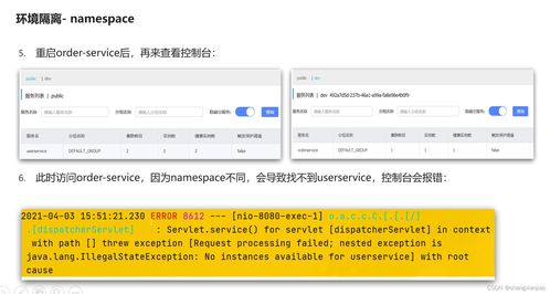 Nacos總結（一） 互聯網域名注冊服務詳解