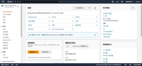 亞馬遜云服務器搭建與互聯網域名注冊圖文詳解教程