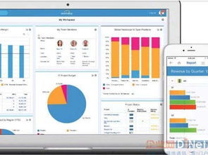 連接世界的基石 全球最受歡迎的24款云應用與互聯網域名注冊服務深度解析
